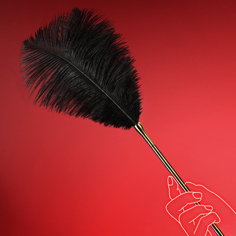 Ostrich Feather Teasing Wand