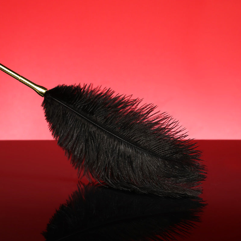 Ostrich Feather Teasing Wand