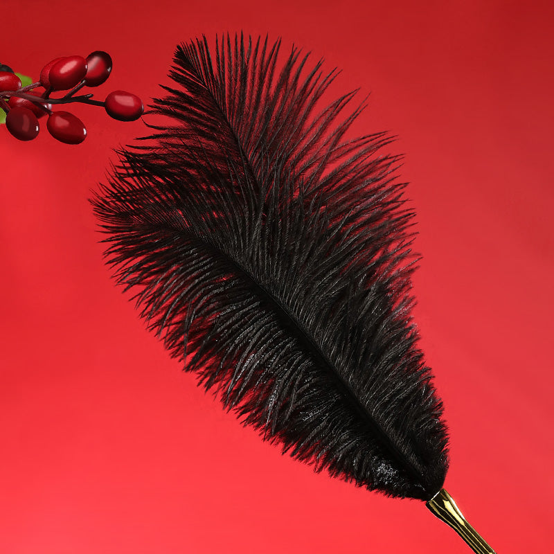 Ostrich Feather Teasing Wand